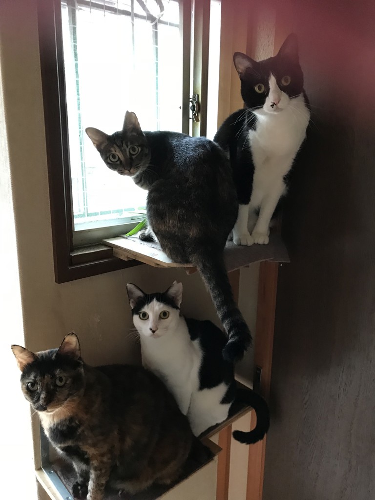 投稿写真