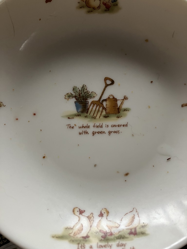 投稿写真