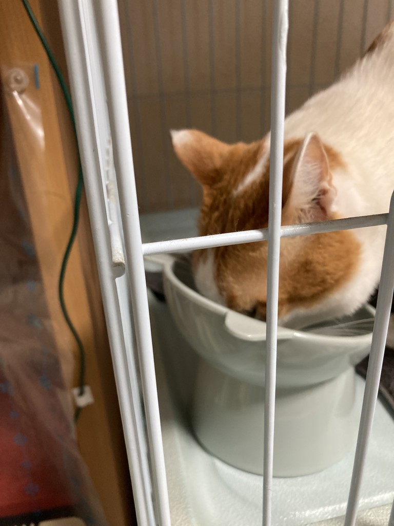 ユーザー写真