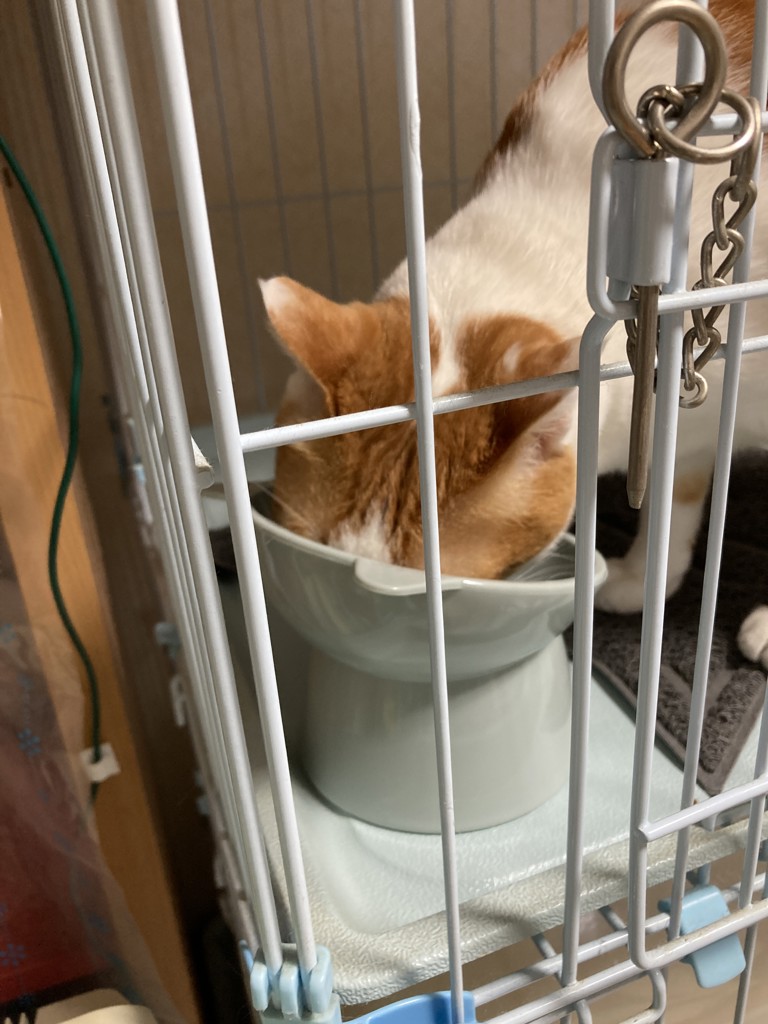 ユーザー写真