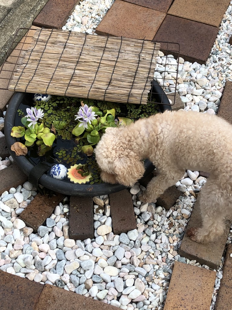 ユーザー写真