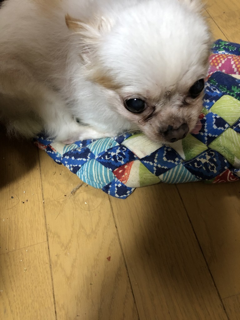 ユーザー写真