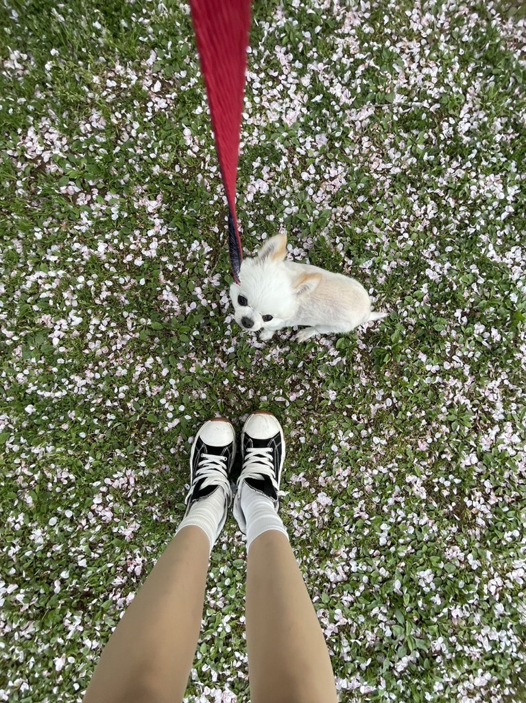 投稿写真
