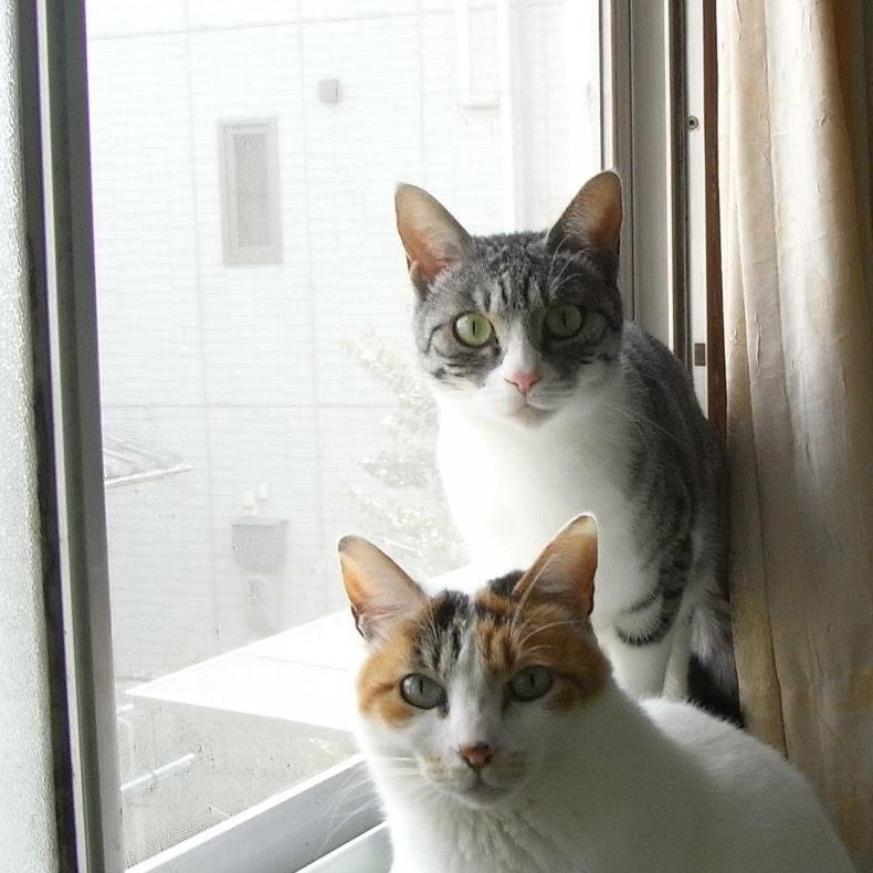 ユーザー写真