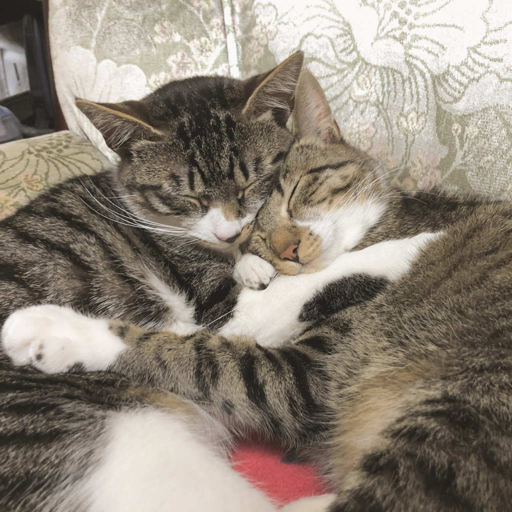 ユーザー写真