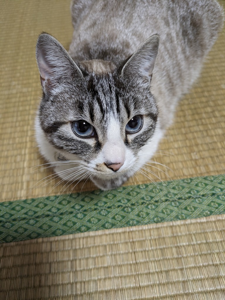 投稿写真