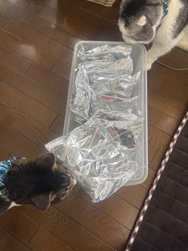 ユーザー写真