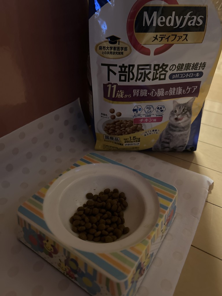 投稿写真