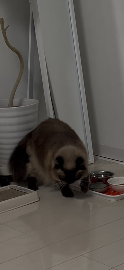 投稿写真