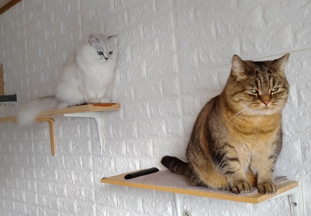 ユーザー写真