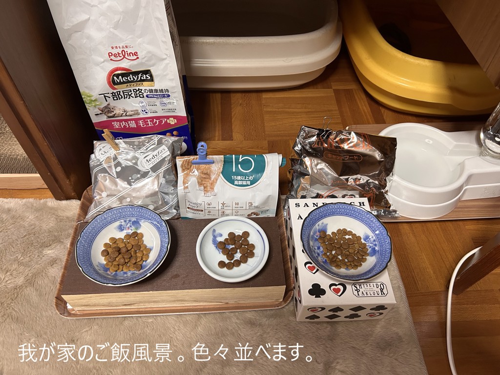 ユーザー写真