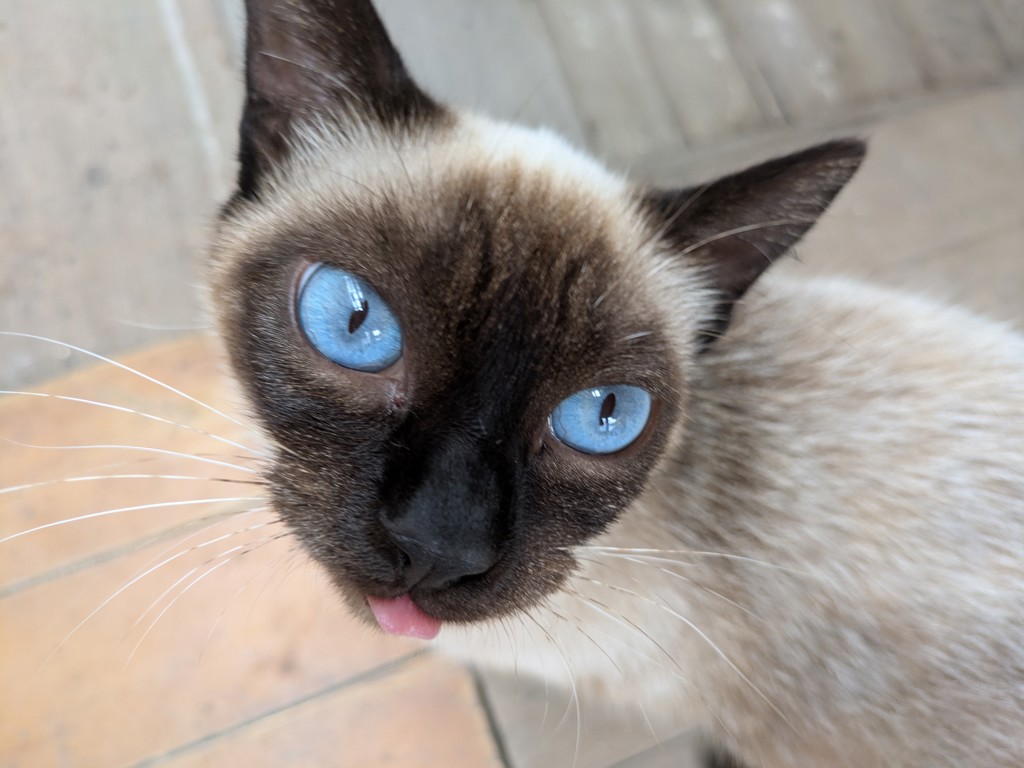 投稿写真