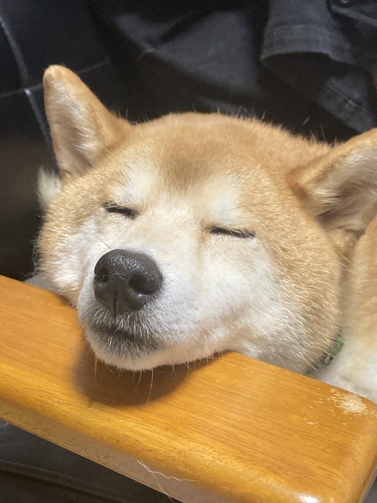 ユーザー写真