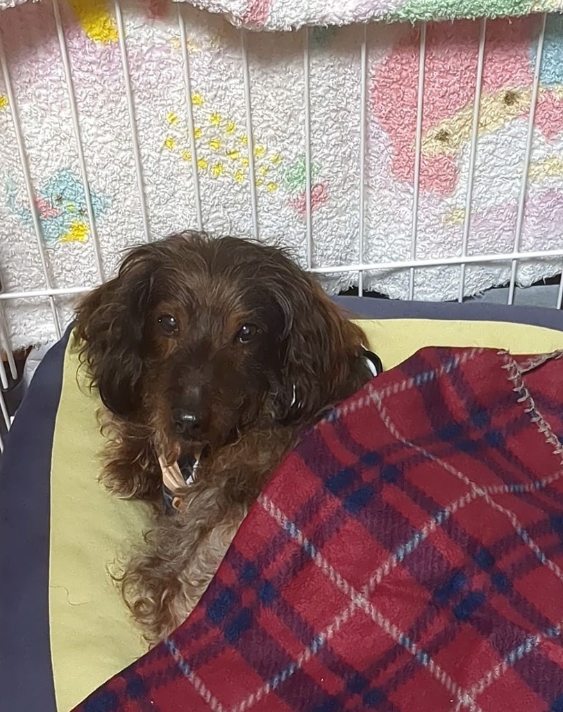 ユーザー写真