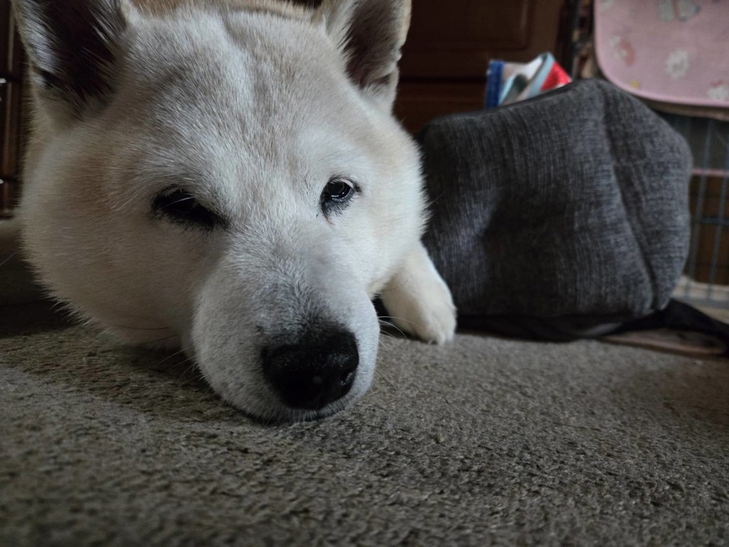 ユーザー写真