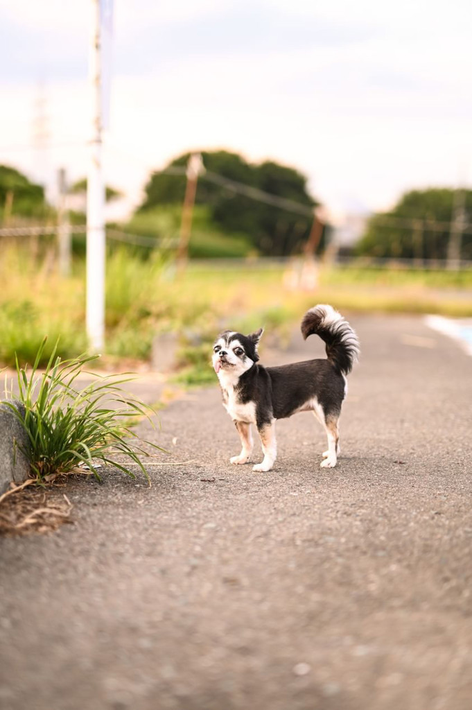 ユーザー写真