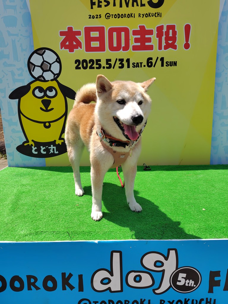 投稿写真