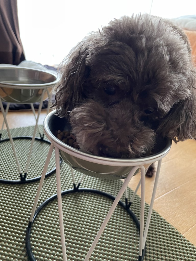 投稿写真