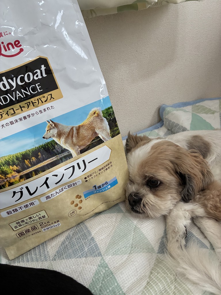 投稿写真