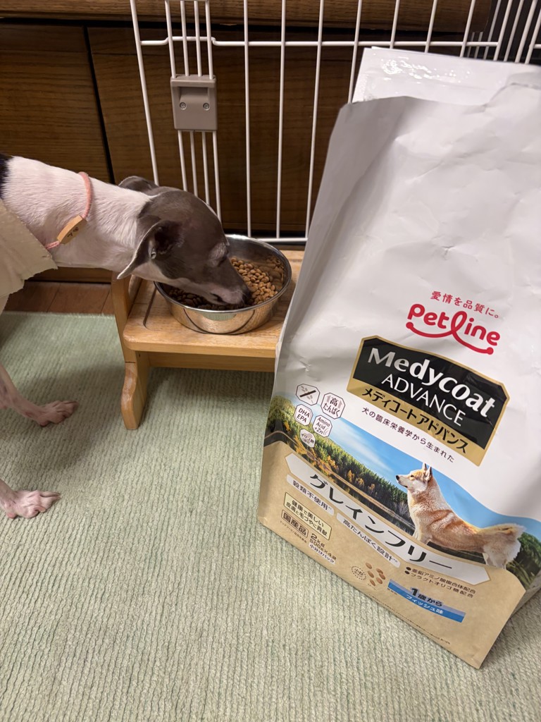 ユーザー写真
