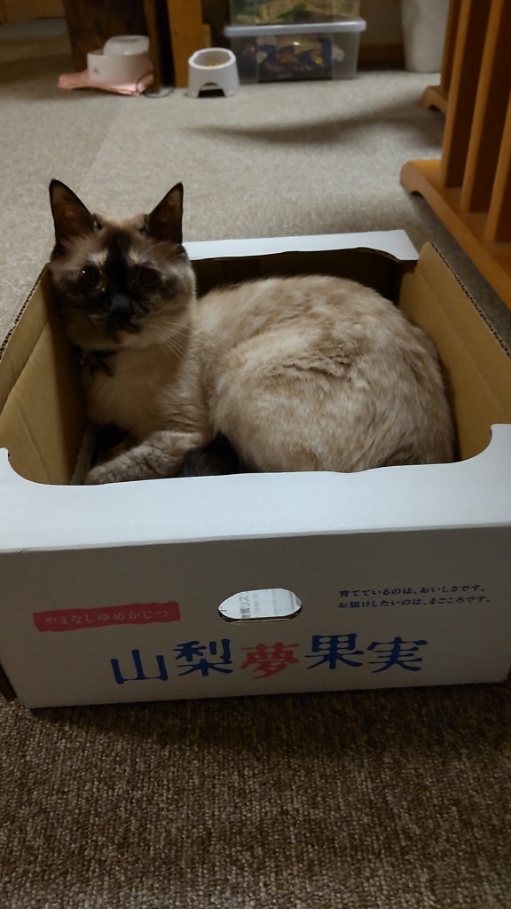 ユーザー写真