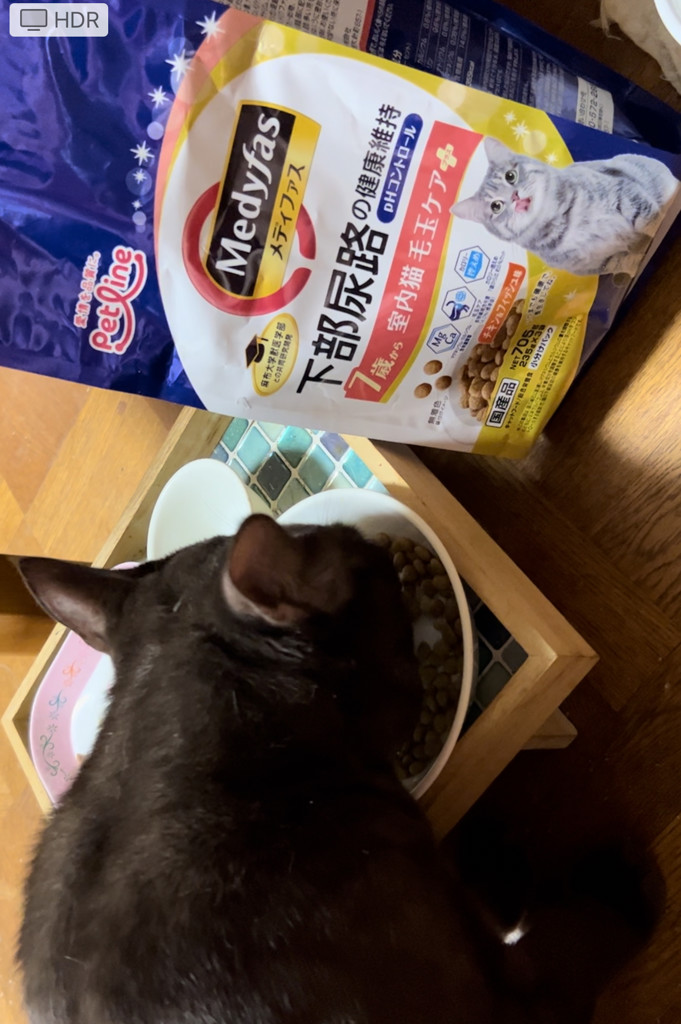 ユーザー写真