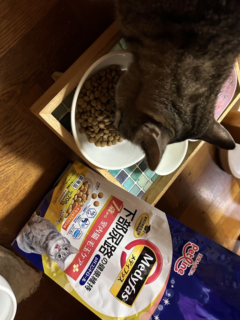 ユーザー写真
