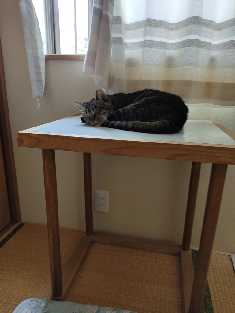 ユーザー写真