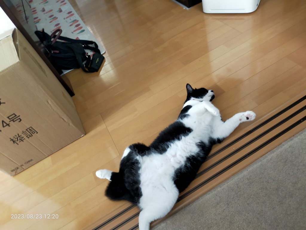 ユーザー写真