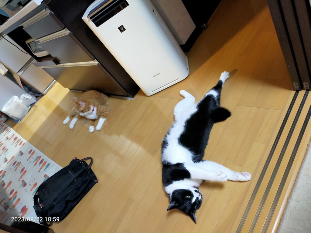 ユーザー写真