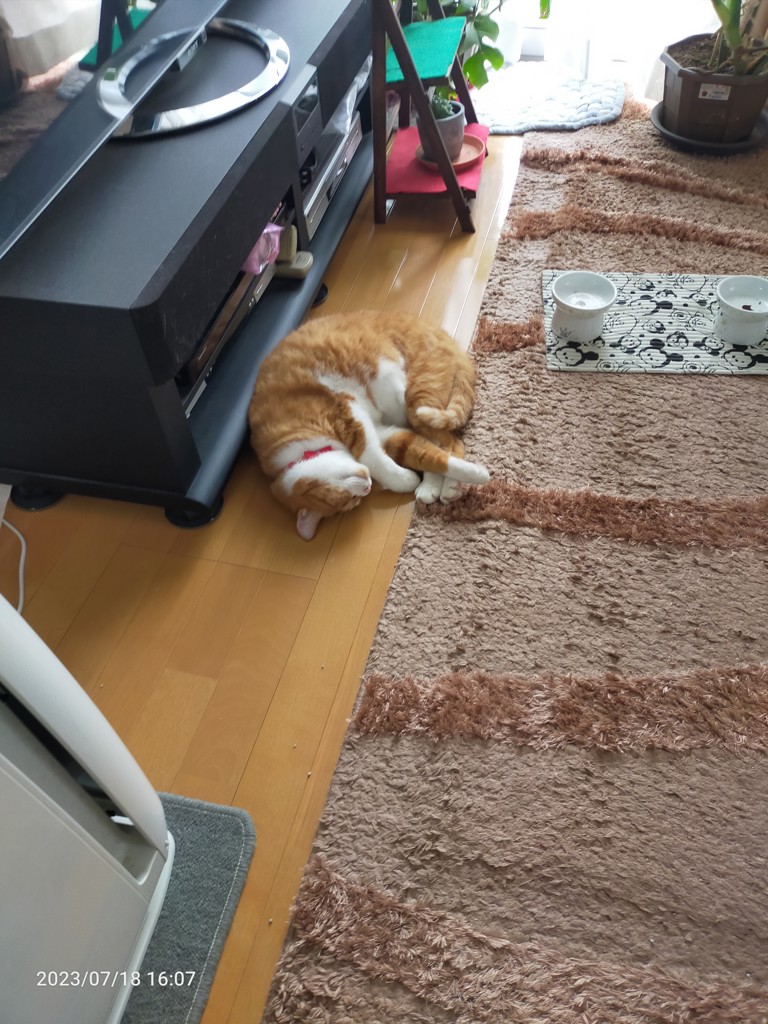 ユーザー写真