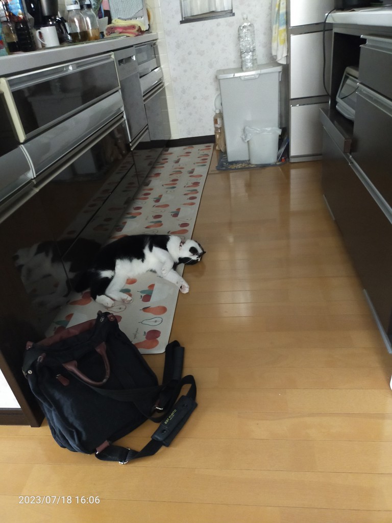 ユーザー写真