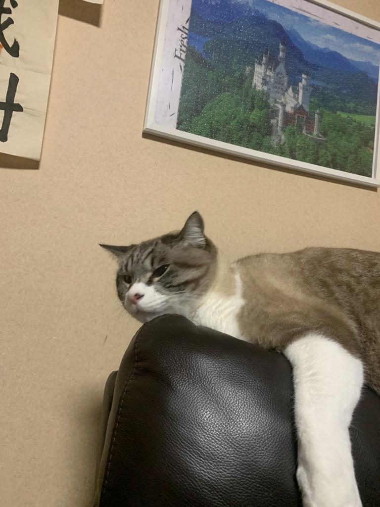 投稿写真