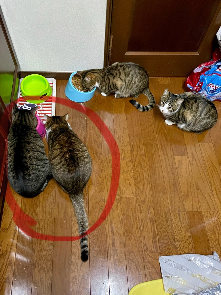 投稿写真