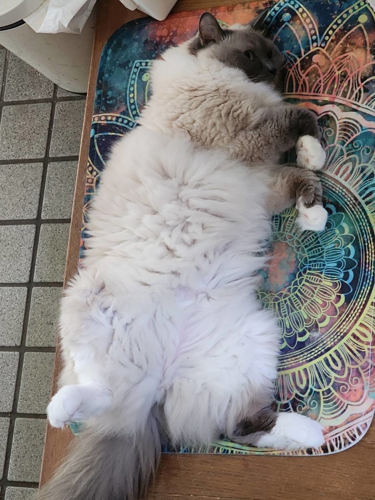 投稿写真