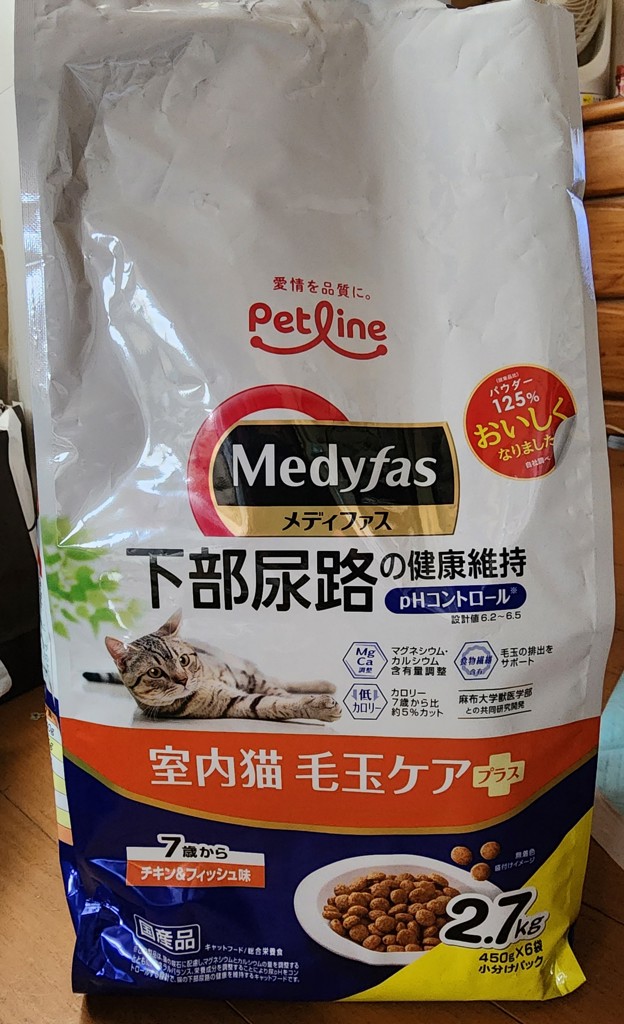 投稿写真