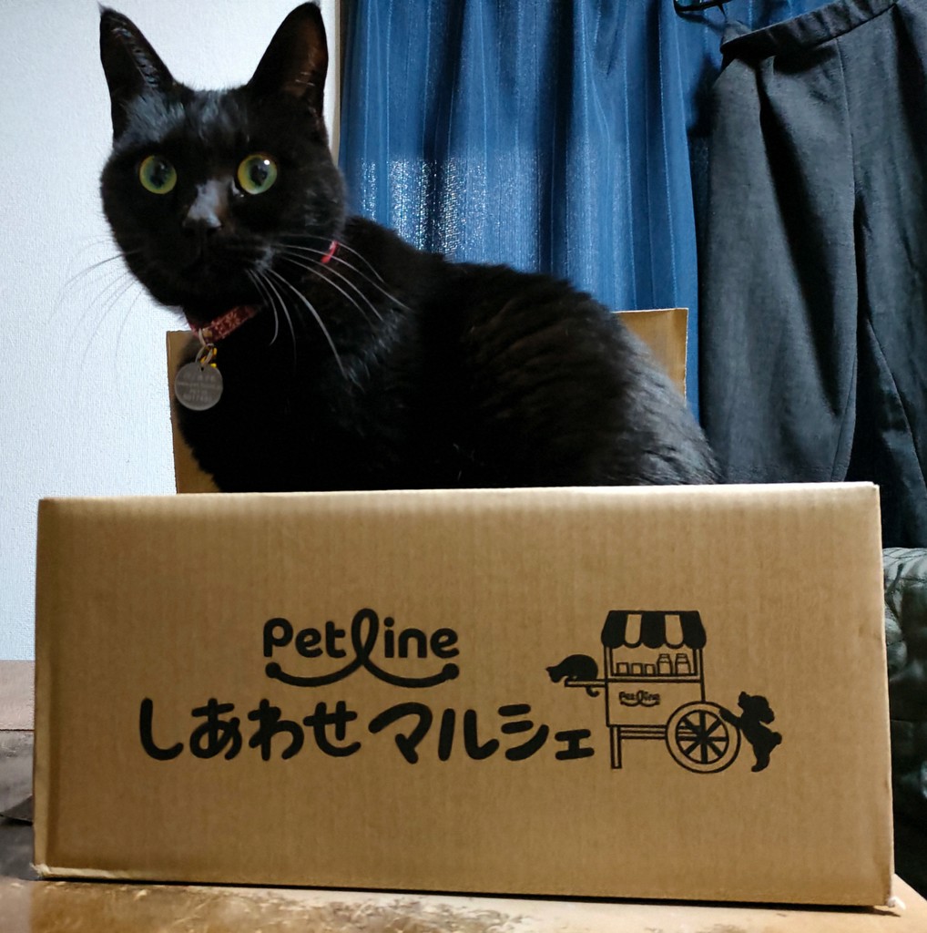 投稿写真