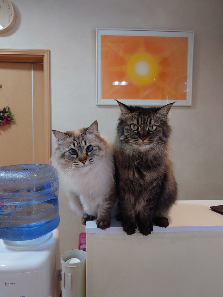 投稿写真