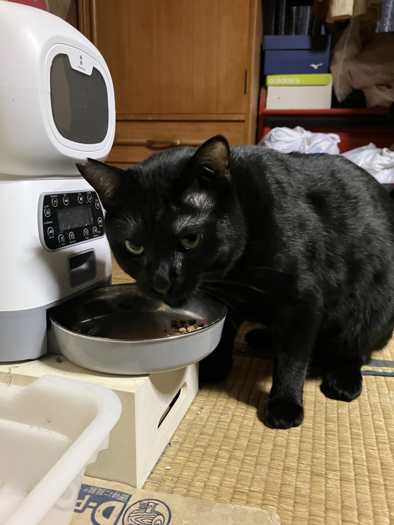投稿写真