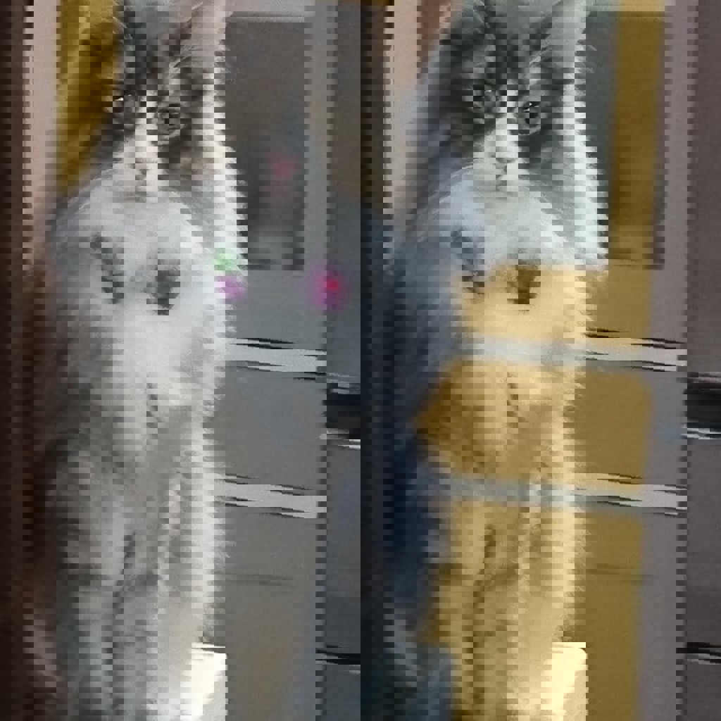 投稿写真
