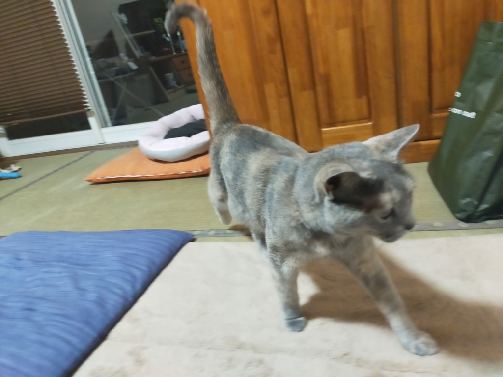 投稿写真