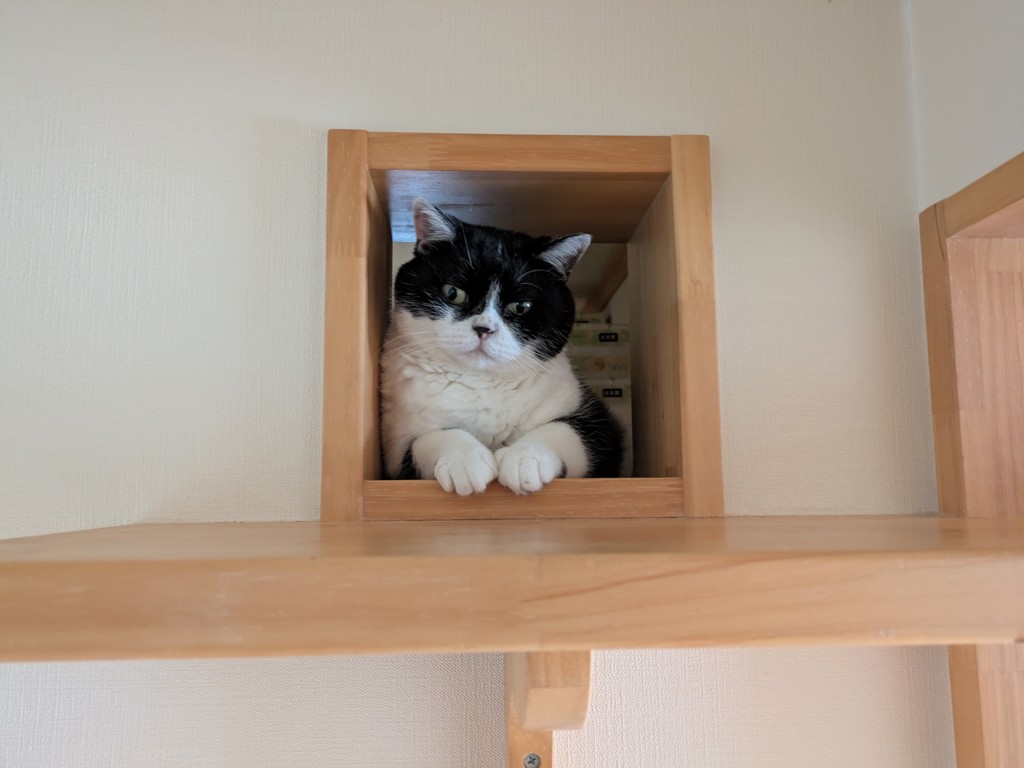 投稿写真