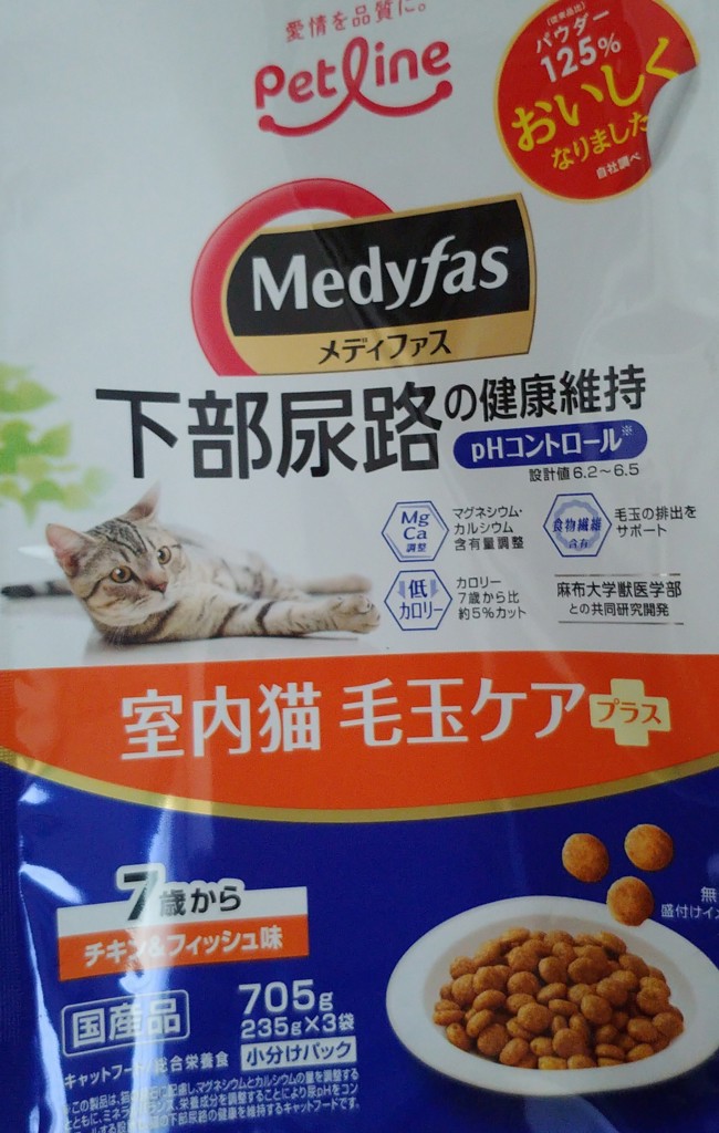 投稿写真