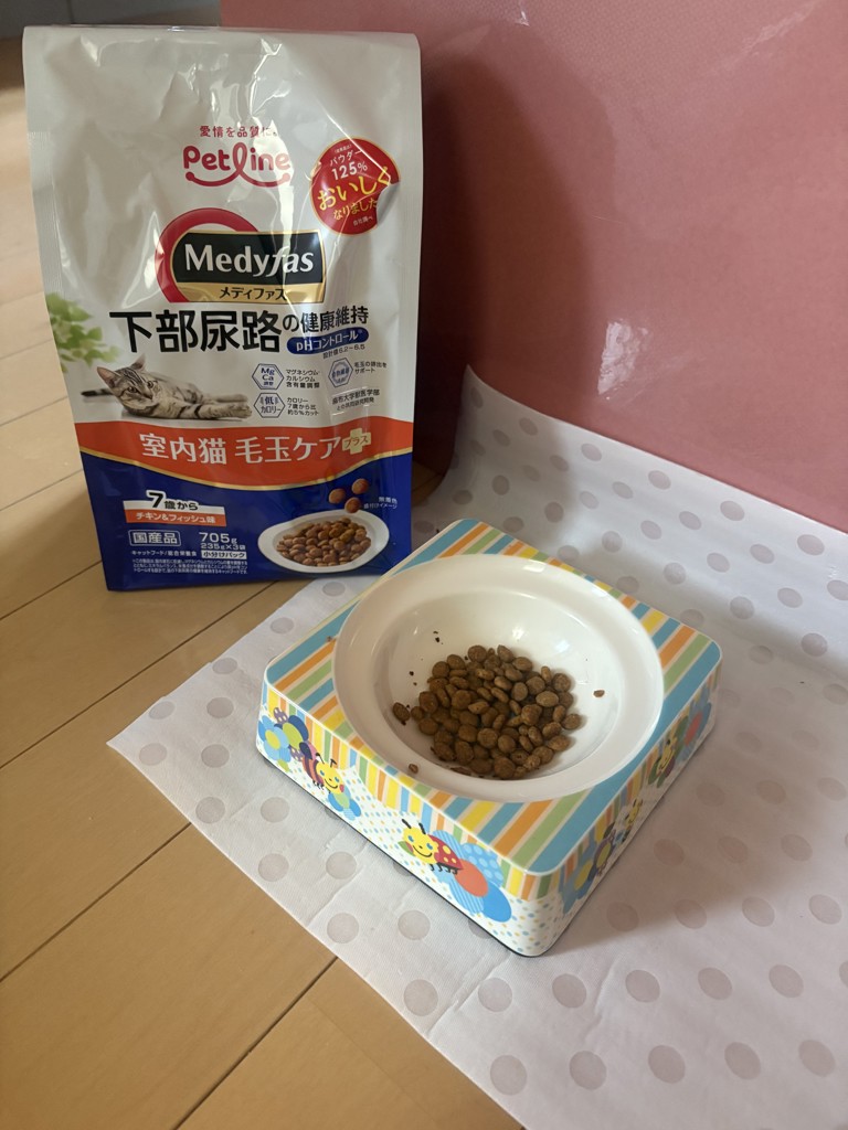 投稿写真
