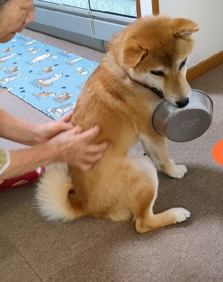 ユーザー写真