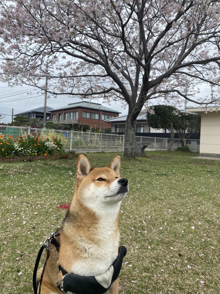 ユーザー写真