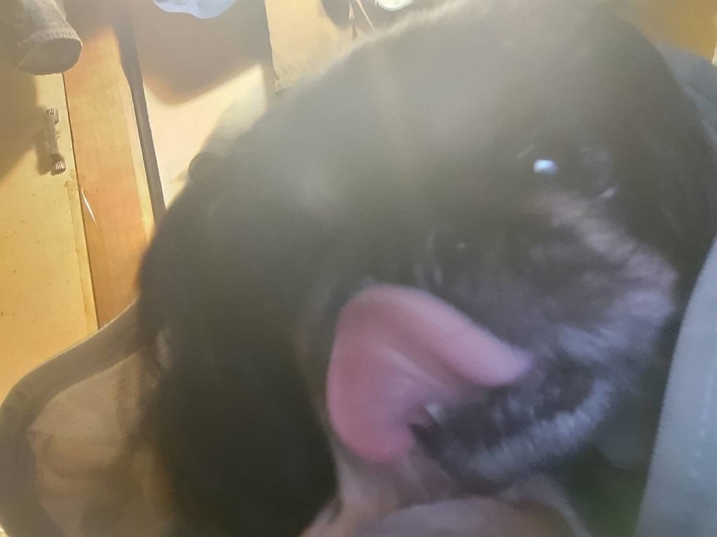 ユーザー写真