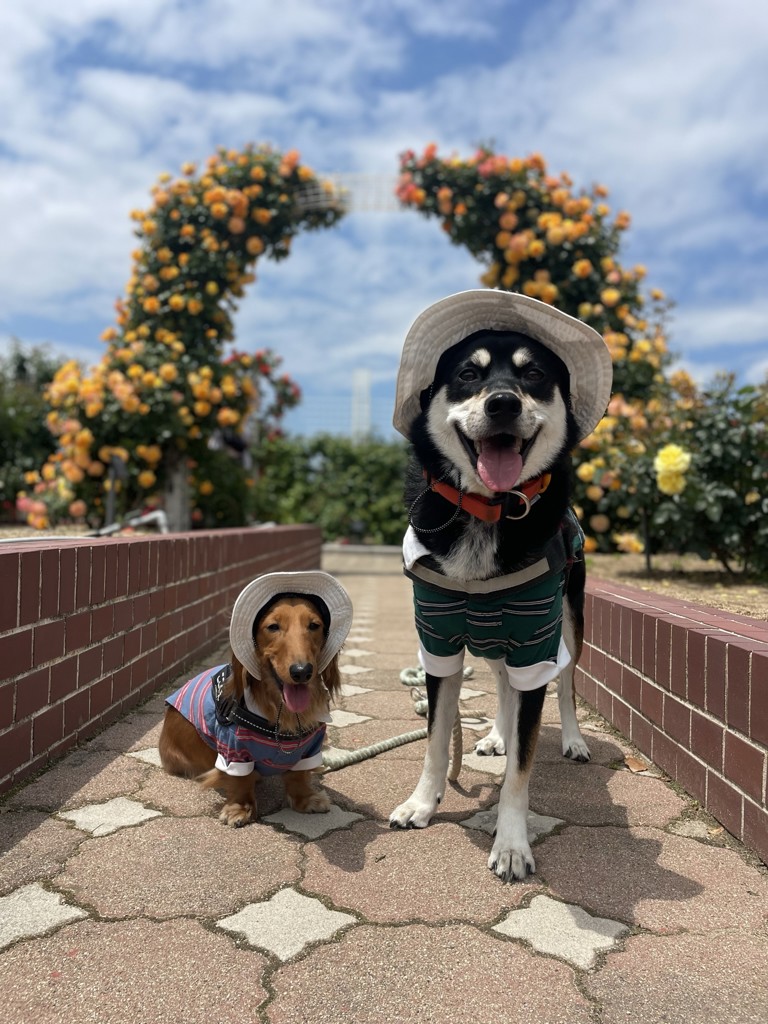 ユーザー写真