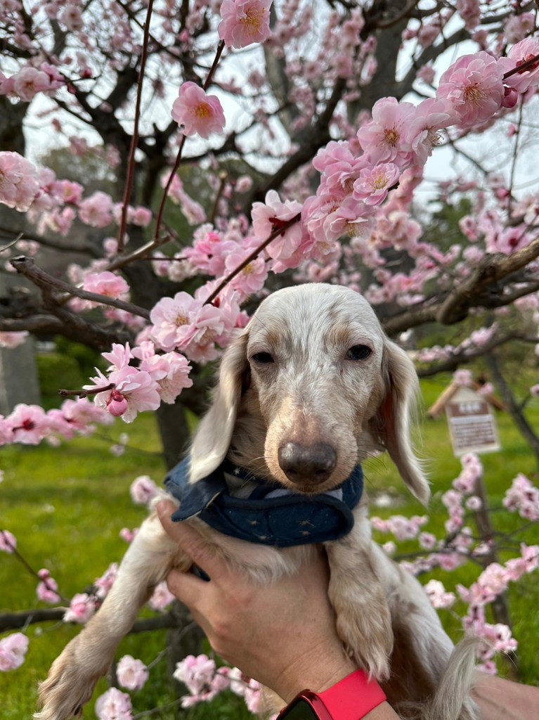 ユーザー写真