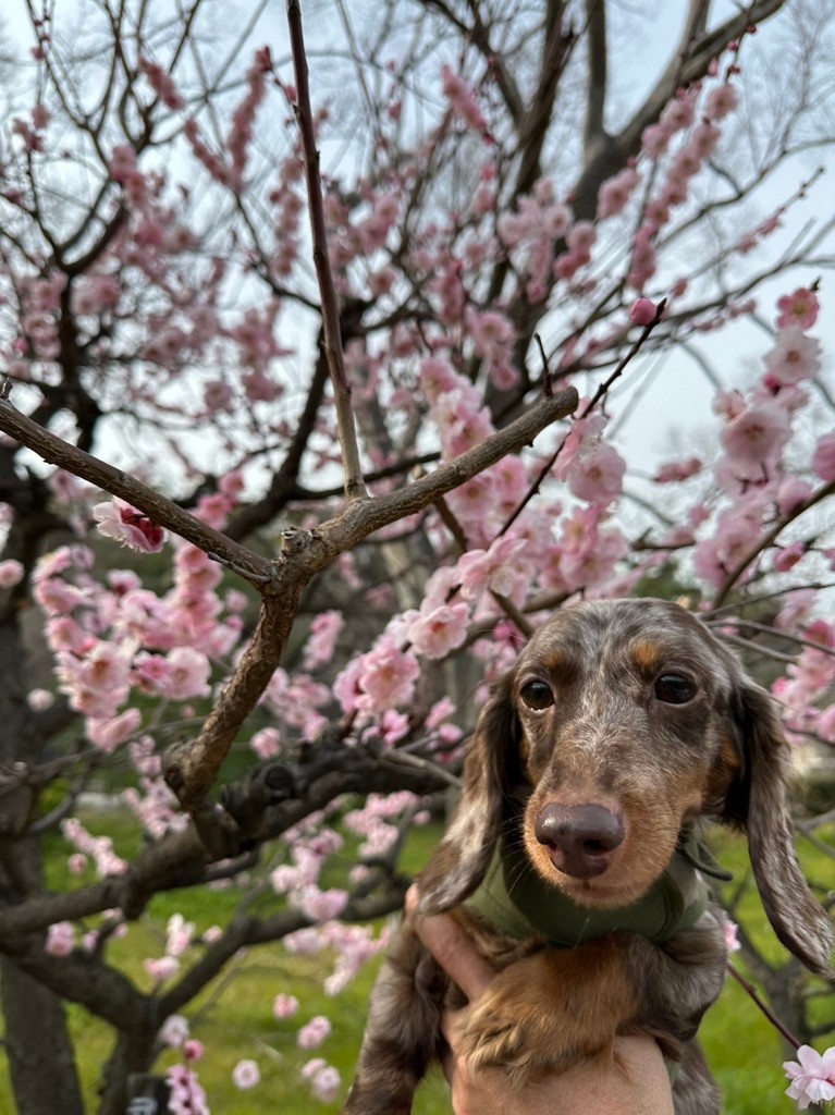 ユーザー写真